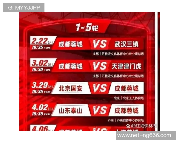 成都排球队的阵地战策略与技术解析深度剖析排球运动的魅力与挑战