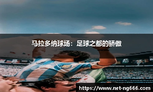 南宫NG28