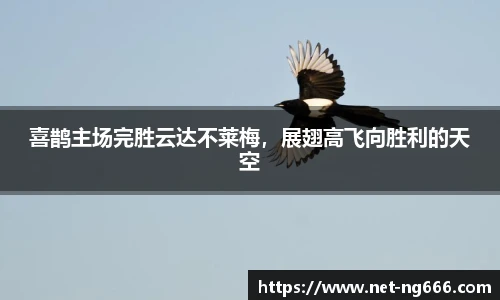 NG666.COM